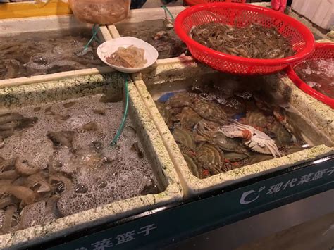 中国海鲜，哪里的最好吃？