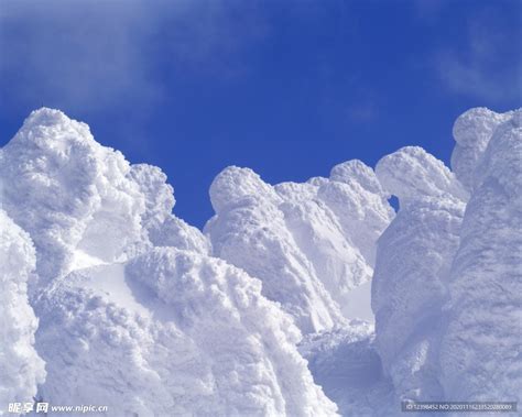 新疆塔城遭遇强降雪 积雪厚厚一层如同棉花糖-天气图集-中国天气网