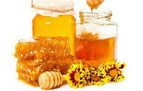 缇树蜂蜜的功效,塅树蜂密有什么好 - 医药经