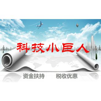 2023年度青浦区科技小巨人工程项目_上海市企业服务云