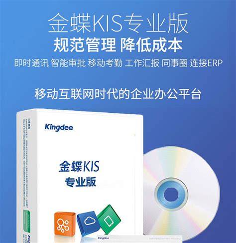 金蝶KIS 专业版-金蝶软件