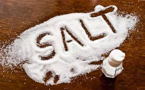 中国食用盐主要来自哪里 | 说明书网