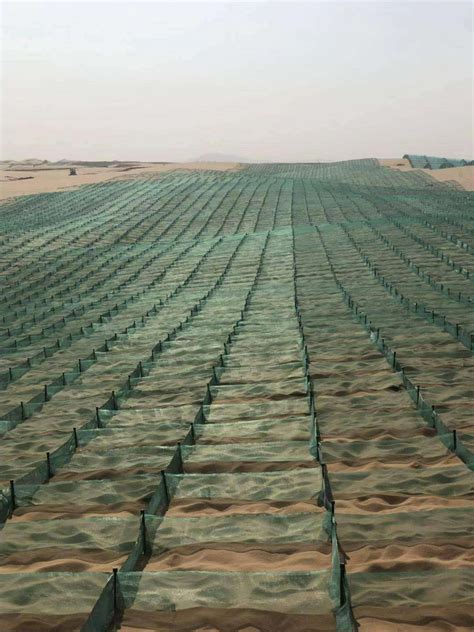 HDPE防沙网|防风固沙网|公路阻沙网厂家-安平县福瑞德织网厂