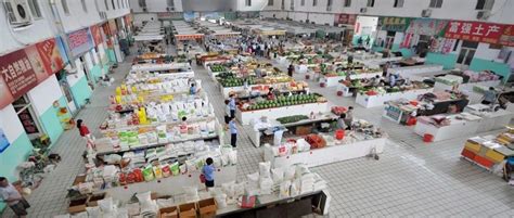菜场也能高大上 舟山智慧农贸市场“新鲜”上线-中国网