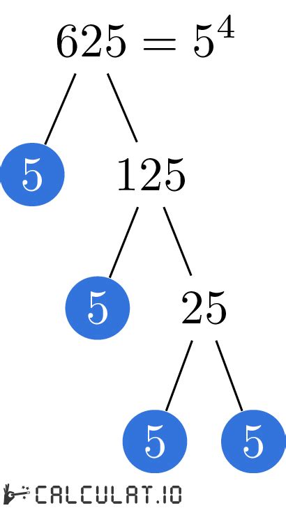 Простые множители числа 625 - Calculatio
