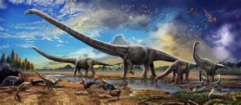世界最大的十大恐龙 阿根廷龙位列榜首，高度达35米_动物之最_第一排行榜