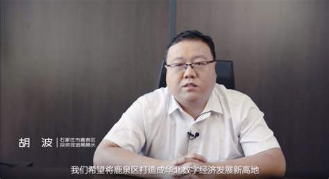 2021河北鹿泉电子信息产业（北京）对接会成功举办-资讯频道-长城网