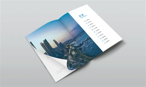 咨询公司画册设计 - 锐森广告 - 精致、设计