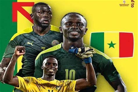 2022世界杯喀麦隆vs巴西什么时候开始？12月3日（凌晨三点）_奇趣解密网