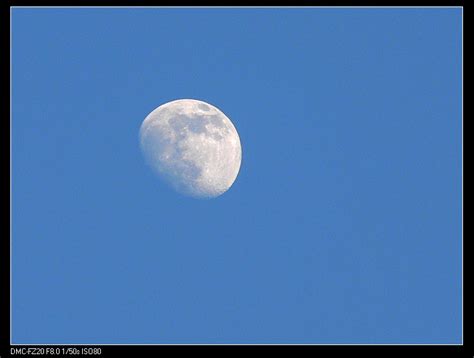 【白天的月亮摄影图片】家中风光摄影_我的影像生活_太平洋电脑网摄影部落