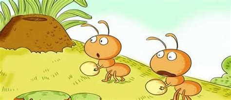 关于蚂蚁的故事_小蚂蚁的童话故事2-七故事网
