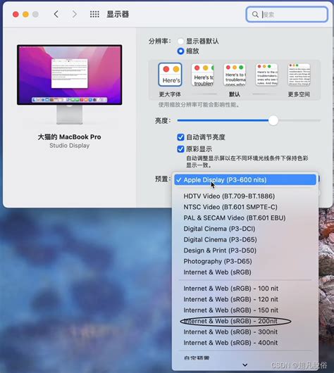 Windows10 使用Apple Studio Display显示器的设置_studio display连接windows电脑黑品-CSDN博客