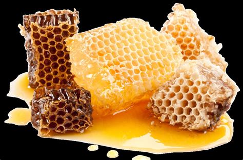 什么样的蜂蜜才是好蜂蜜？他们是这么看的！-知花蜂蜜网-,养蜂病虫害防控-蜂蜜是怎么喝|柠檬蜂蜜面膜|积安堂洋槐花蜂蜜|蜂蜜泡水酸的|冬天蜂蜜不 ...