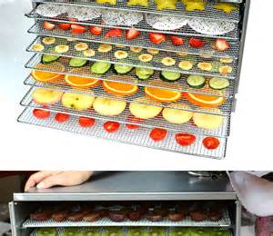 小型食品烘干机金银花烤箱心驰食物风干机水果蔬菜干果机果茶烘箱-阿里巴巴