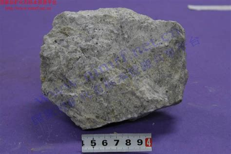 二云母花岗岩_Two-mica Granite_国家岩矿化石标本资源共享平台