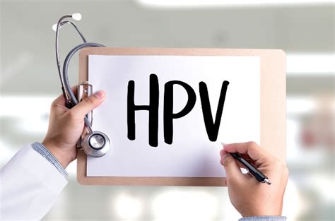 HPV阳性严不严重？感染者自己说了算，善用一个阳性转阴的办法|阳性|病毒|感染者_新浪新闻