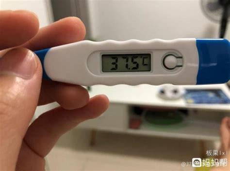 成年人体温为多少度，算发烧？体温一直是37度，正不正常？_新浪新闻