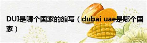 DUI是哪个国家的缩写（dubai uae是哪个国家）_城市经济网