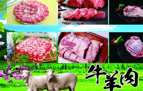 牛羊肉名片设计图__名片卡片_广告设计_设计图库_昵图网nipic.com