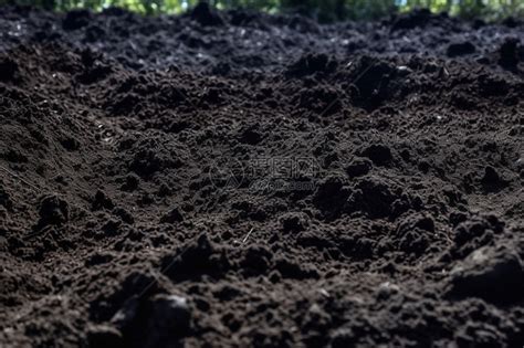 黑色泥土土壤素材图片免费下载-千库网