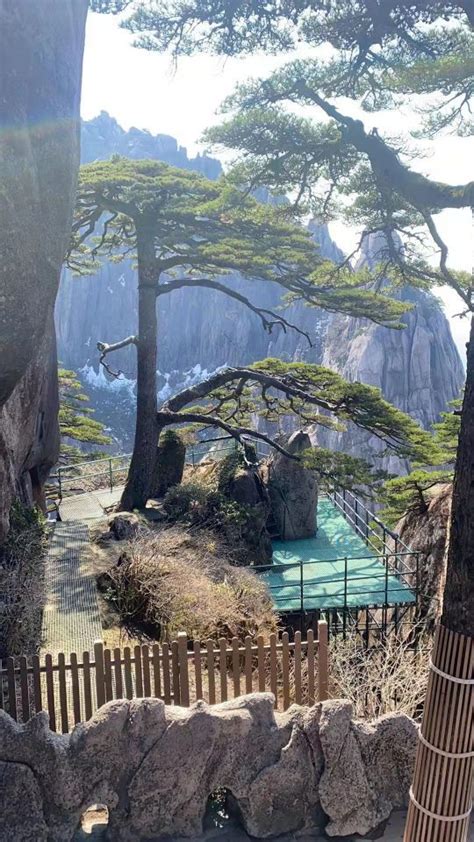 高清 黄山迎客松图片 真实 风景图片-壁纸图片大全