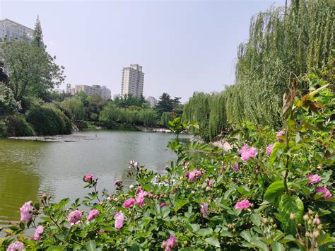 郑州周边这么多“最”，实在是2020元旦旅游好去处！ - 知乎