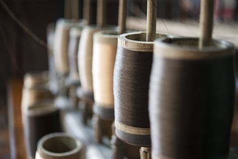丝路历史之桑蚕的驯化，为了获取更多的丝绸，为了某些阶级的利益__财经头条
