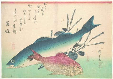 诗词|太湖鲈鱼最为出名，这几首关乎美食与乡愁的诗词颇有典故 诗词|饮食文化|首