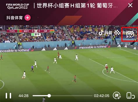 抖音网页版世界杯观看入口_2022卡塔尔世界杯直播在线观看入口-纯净之家