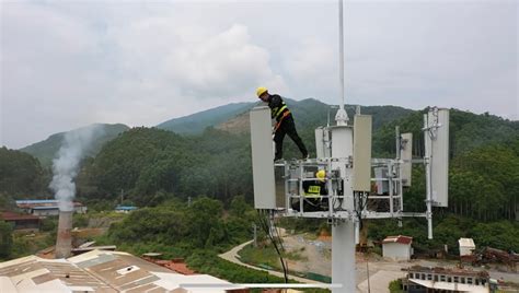 国网漳州供电公司开创生态公益林电网建设新模式_中国网海峡频道
