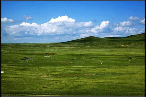 2024锡林郭勒大草原游玩攻略, ️位于内蒙古自治区腹地深...【去哪儿攻略】