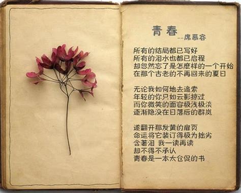 冰心描写植物的诗歌,描写植物的现代诗,描写植物的_大山谷图库