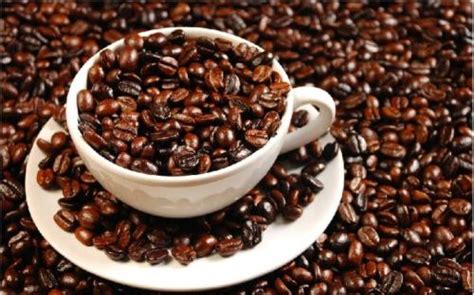 国内咖啡豆十大品牌排名，挑好豆子，在家手冲，享受咖啡馆的味道 - 知乎