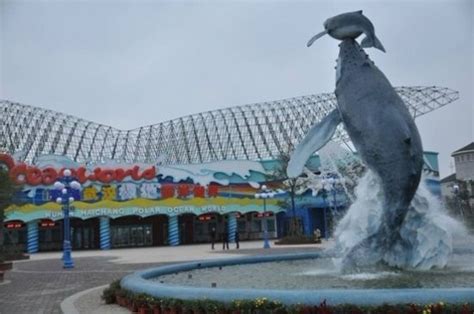 武汉海昌极地海洋公园游玩攻略（开放时间+交通+门票）- 武汉本地宝
