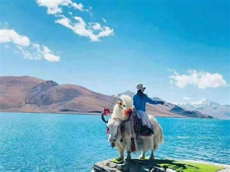成都拼车去西藏要多少钱、成都到拉萨跟团旅游报价是多少-旅游攻略-中青旅(四川)国际旅行社有限公司