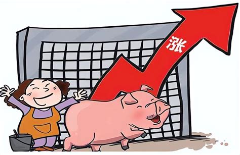 近期的猪价对生活的影响有多少？未来几年内对什么行业影响大？_全国
