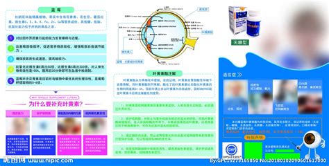 视力保健折页设计图__DM宣传单_广告设计_设计图库_昵图网nipic.com