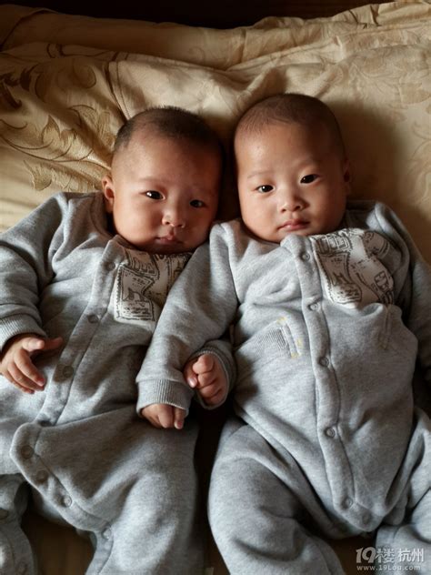 我家的异卵双胞胎——航航和舟舟-宝宝秀-孩爸孩妈聊天室-杭州19楼
