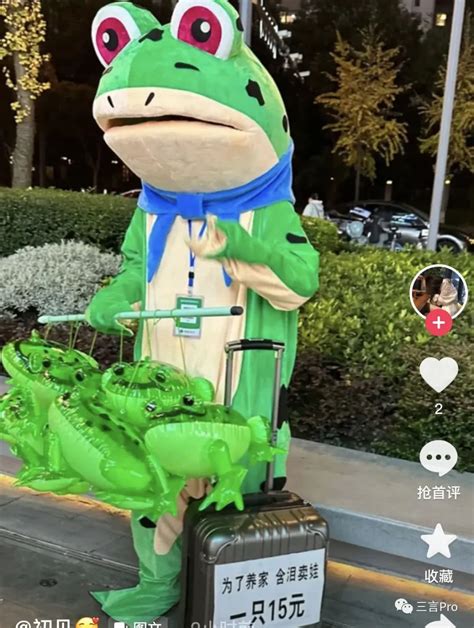 “卖崽青蛙”如何才能在城市找到“安身之处”？ | 新京报快评_【快资讯】