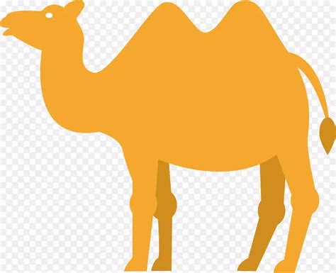 沙漠剪贴画-沙漠中的骆驼PNG图片素材下载_图片编号237789-PNG素材网
