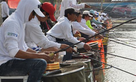低价 精品鱼漂 立式巴尔杉浮漂 浮标批发临湘浮漂厂处理渔具钓具-阿里巴巴