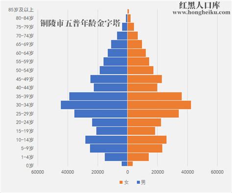 2015-2019年铜陵市常住人口数量、户籍人口数量及人口结构分析_地区宏观数据频道-华经情报网