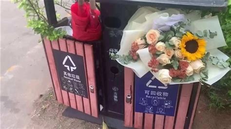 情人节不方便带回家的花被扔 垃圾桶：你礼貌吗？-中国网