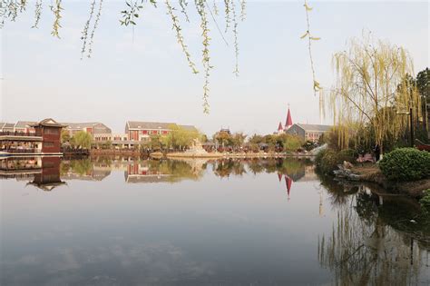 三水街道：让“幸福河湖”群星闪耀--姜堰日报
