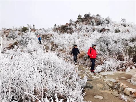 下雪了！纯的！湖南多地迎来今冬第一场雪！_澎湃号·媒体_澎湃新闻-The Paper