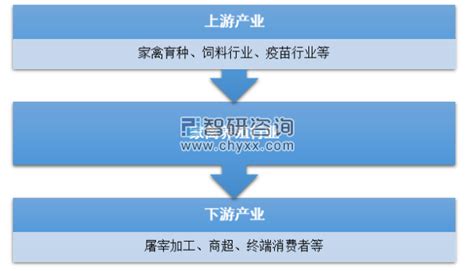 2023-2029年中国马养殖行业运营现状及发展趋向分析报告_智研咨询