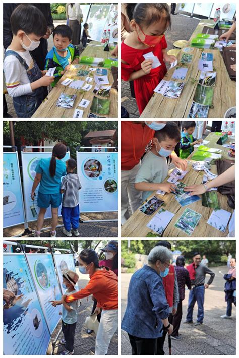共建多样生态 同享绿色未来——拱墅区举办国际生物多样性日宣传活动_健康杭州