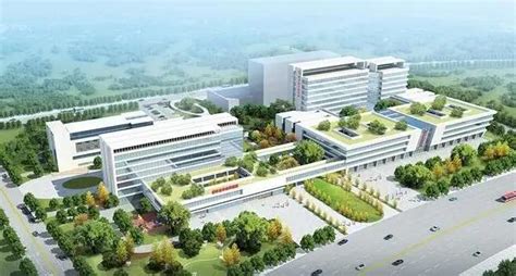 发展中的心内科-技术特长-成都市新津区中医医院·华西专科联盟医院