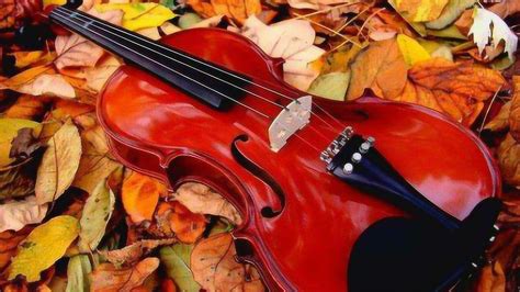 陈蓉晖小提琴《花儿为什么这样红》一首非常值得欣赏的小提琴曲！