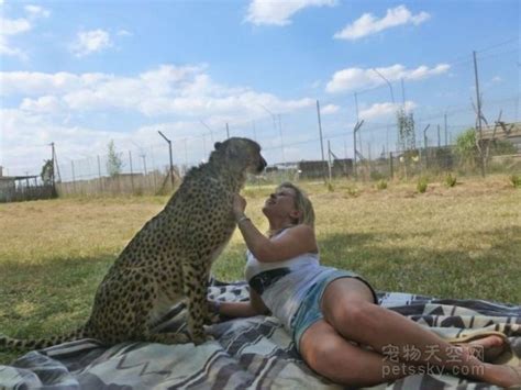 国外的一位女士养猎豹当宠物 真正的“美女与野兽” - 第5页 | 宠物天空